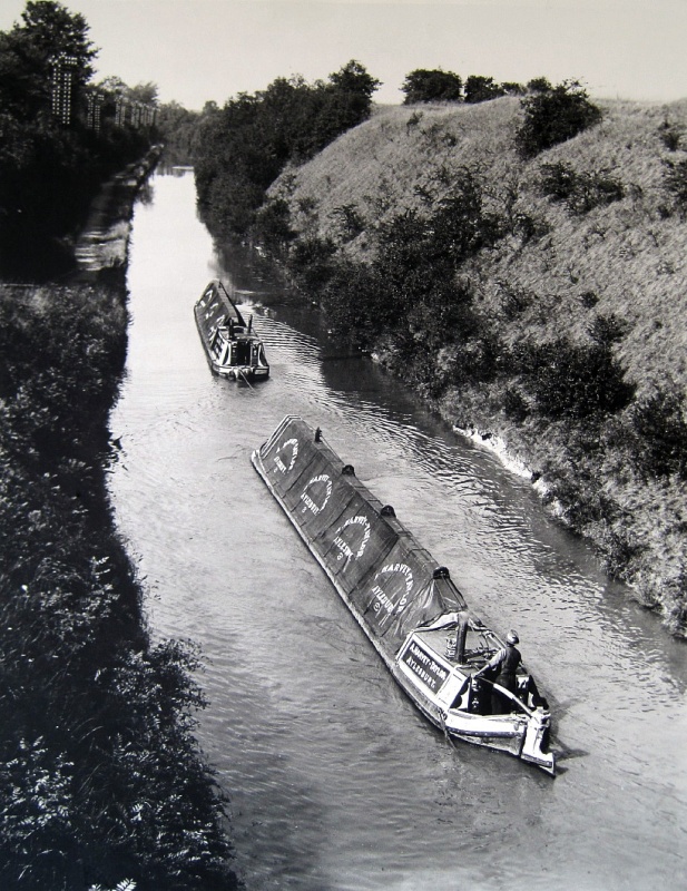 Grand Union Canal through Tring Cutting