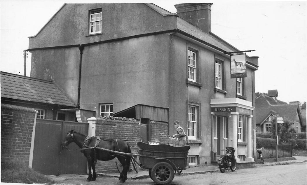 Greyhound Milk Delivery