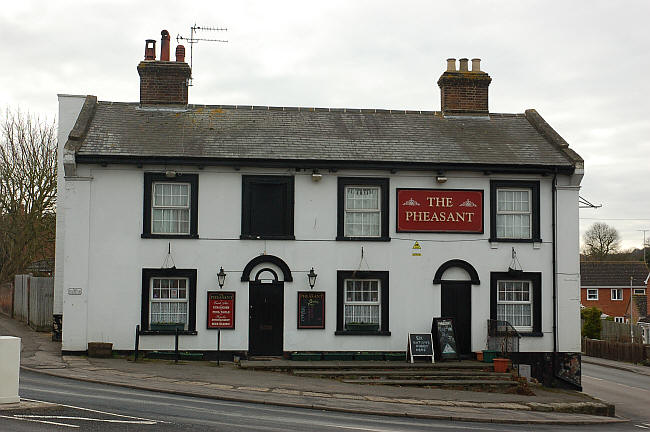 Pheasant New Mill 2000