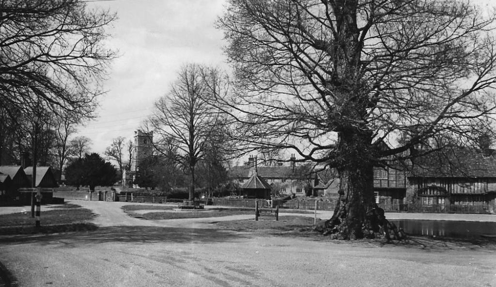 The old Oak Tree with Church, Stocks & Old Manor House